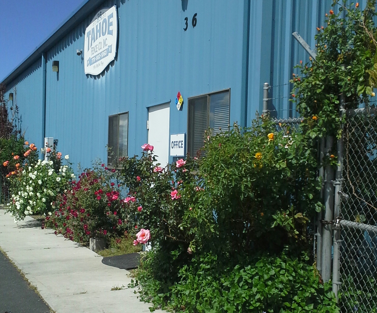 Tahoe Fence office in full bloom