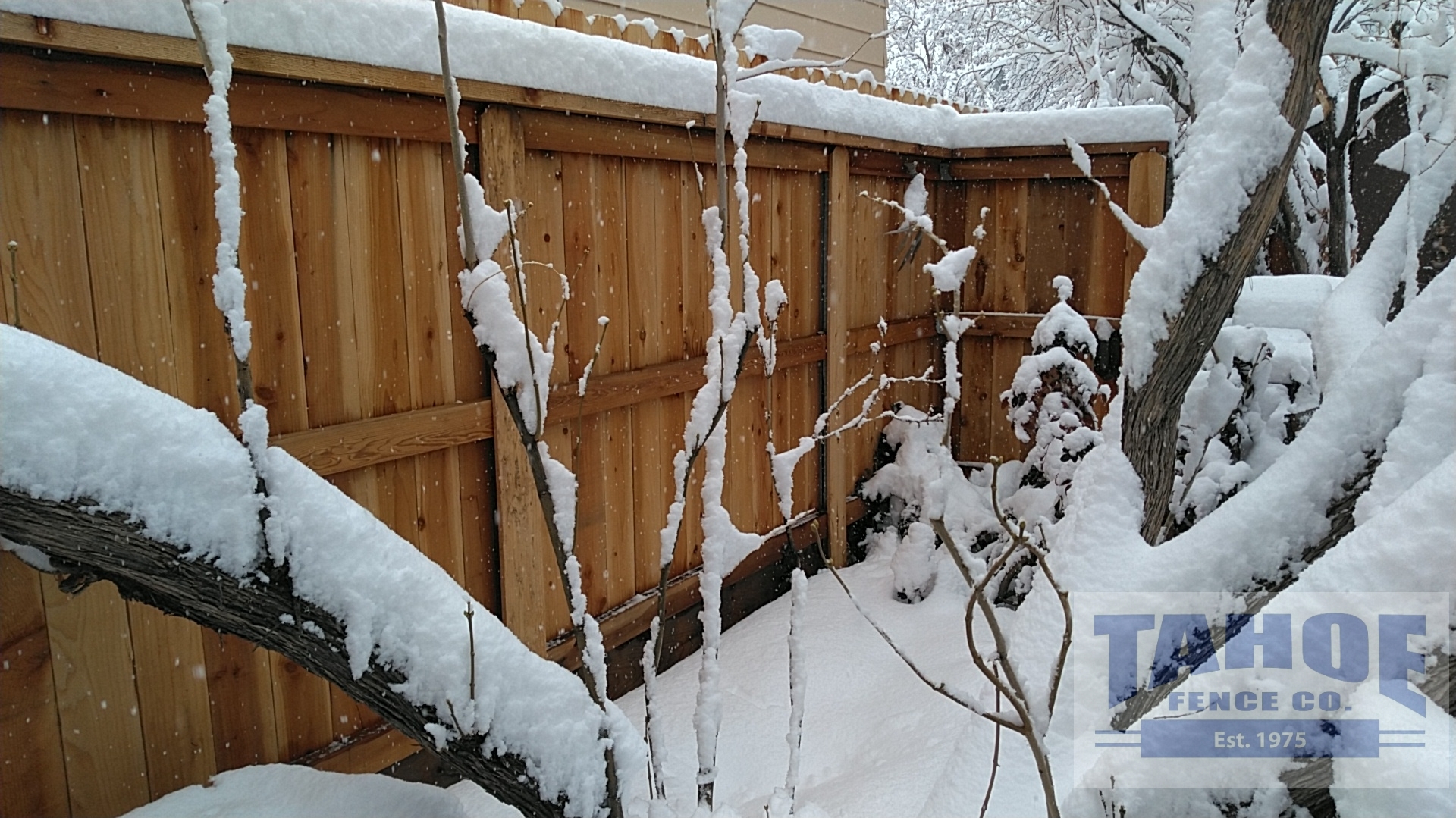 The Sun Is Out

Even though we're running out of space to put snow, more tree limbs have come down than we can count, and we can't feel our fingers and toes, finally the sun is out.

Feeling warmer already.

Stay safe and warm out there. 

And if you need firewood, Tahoe Fence has some up for grabs outside our yard. Take what you need (leave the wire bins.) Please don't make a mess.

Pictured: Tahoe redwood fence on steel posts weathering the snow next to snow laden mature lilac in Carson City.