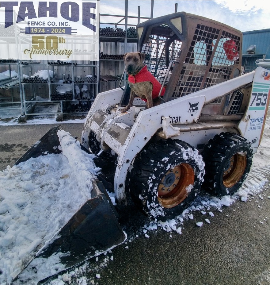 In the Spirit of Valentine's Day Who says cats and dogs can't get along in the spirit of Valentine's Day? Okay, technically this is a Bobcat, one of Tahoe's digging augers. But our mascot Wally loves when it's set up to plow snow. From all of us at Tahoe Fence, have a happy and snowy Valentine's Day. Pictured: Tahoe's Mascot Wally in One of Our Digging Machines Plowing the Yard After Snowing Cats and Dogs for Valentine's in Mound House (Lyon County.) 